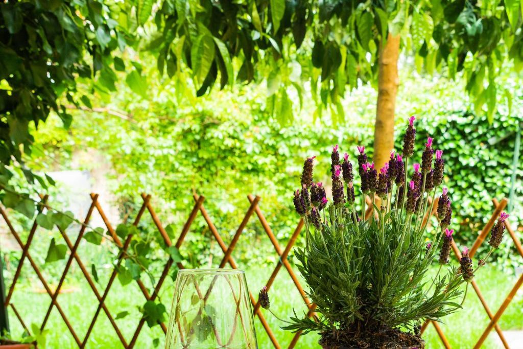 דירות פיזה Marylou Gardenhouse מראה חיצוני תמונה